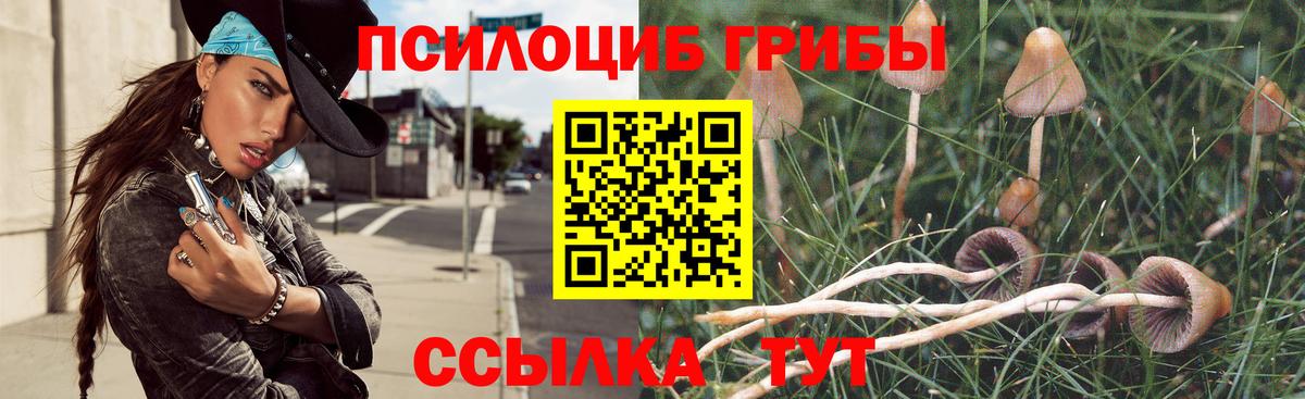 наркошоп  Псилоцибиновые грибы ЛСД  Вход с VPN  Малоярославец 