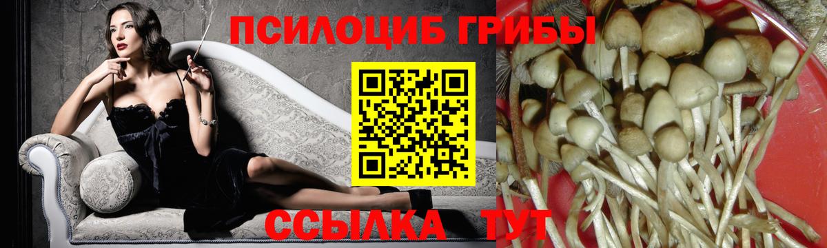 Псилоцибиновые грибы прущие грибы Малоярославец